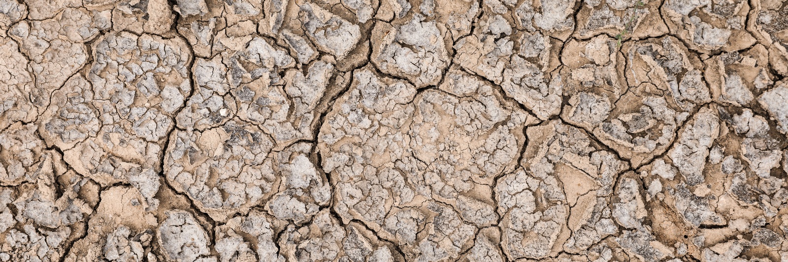 Image of Dry cracked ground as background, top view. Banner design