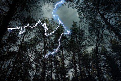 Dark cloudy sky with lightning striking trees. Thunderstorm