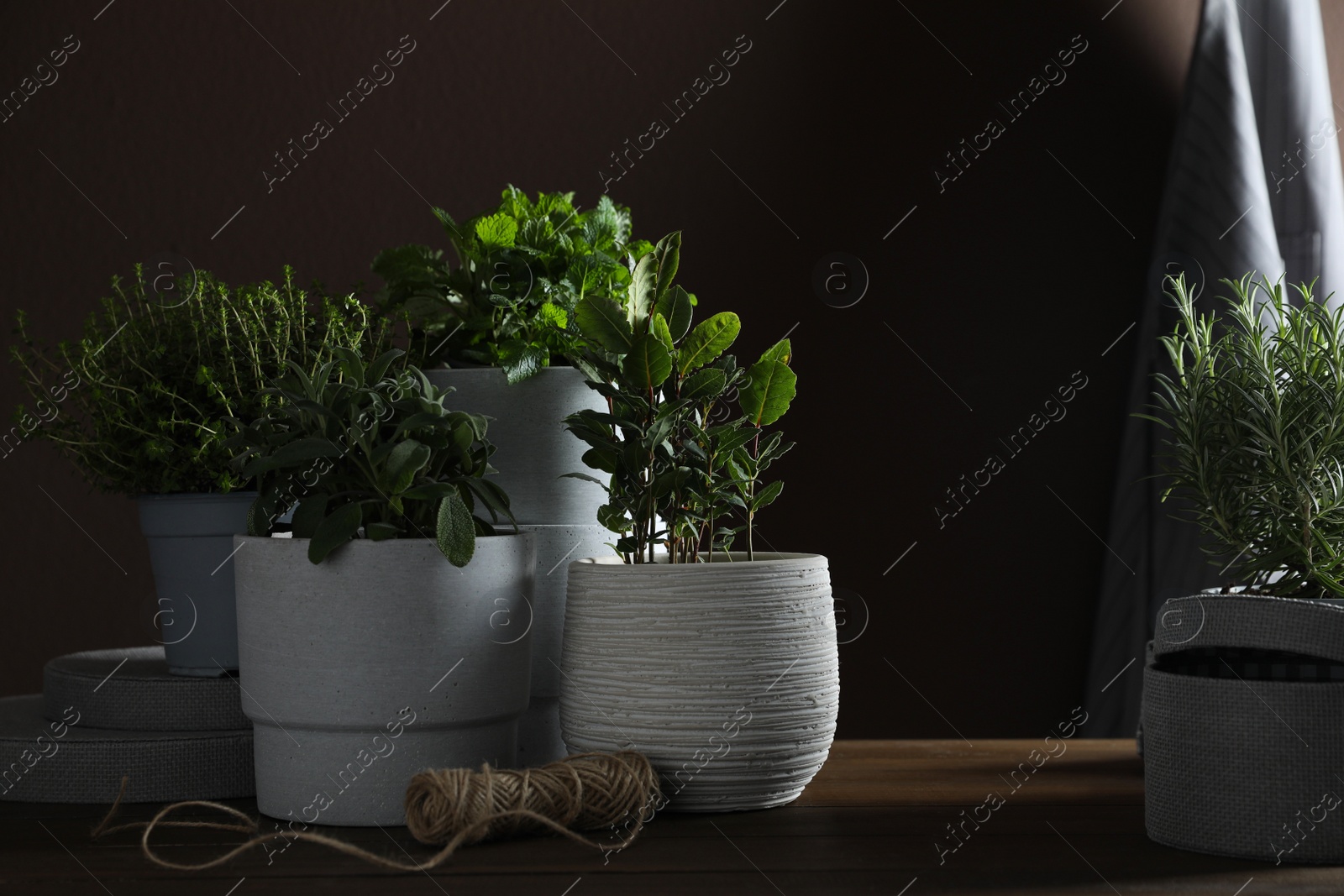 Photo of Different aromatic potted herbs on wooden table