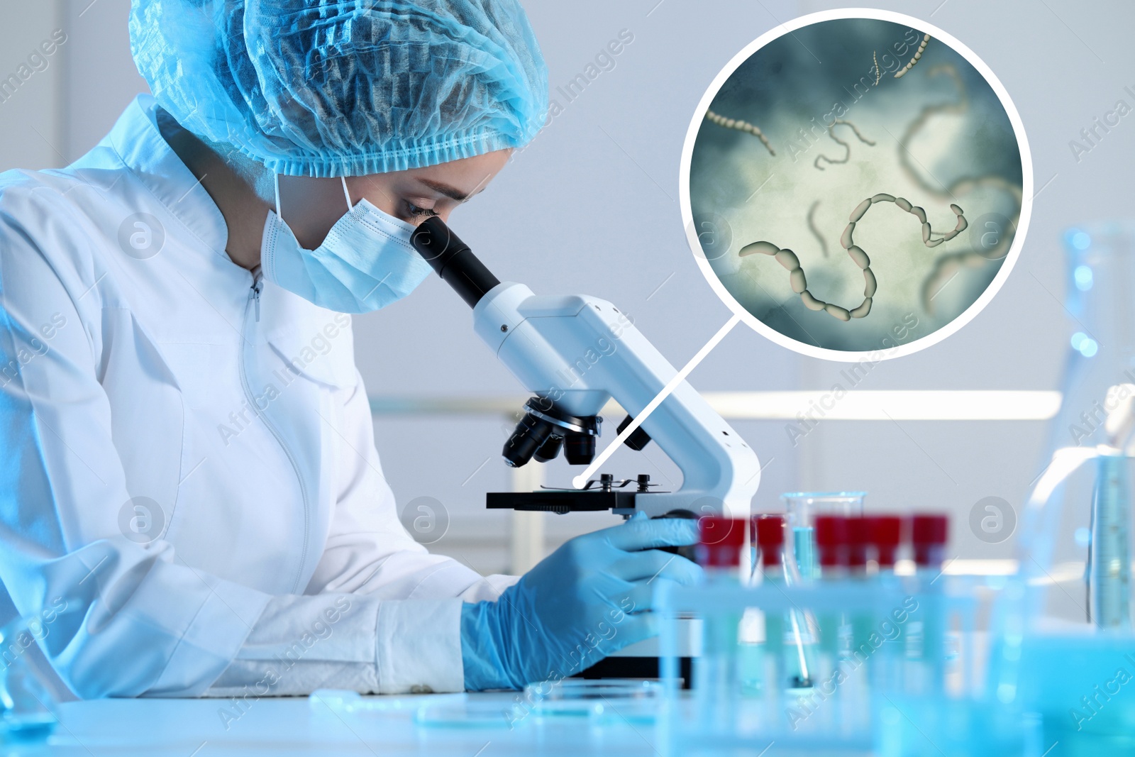 Image of Laboratory worker using modern microscope to examine helminths indoors. Zoomed view on parasitic worms