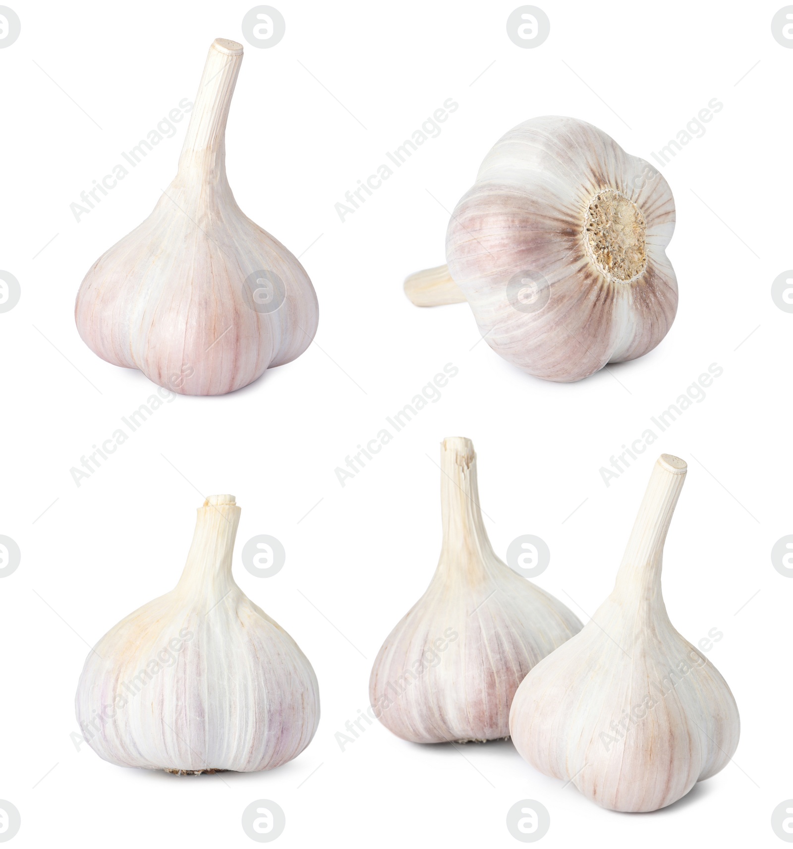 Image of Set of garlic bulbs on white background