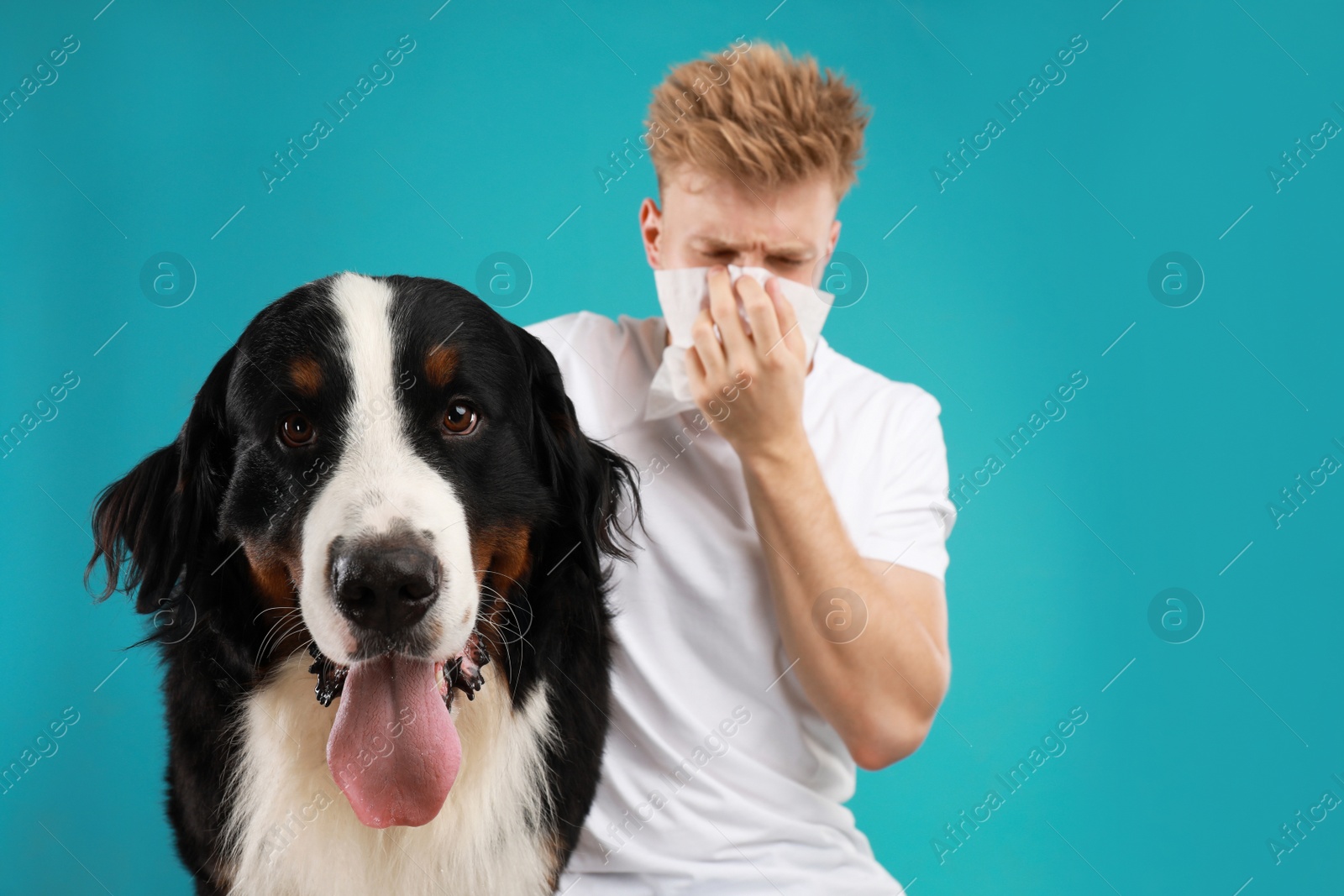 Photo of Young man suffering from fur allergy on blue background