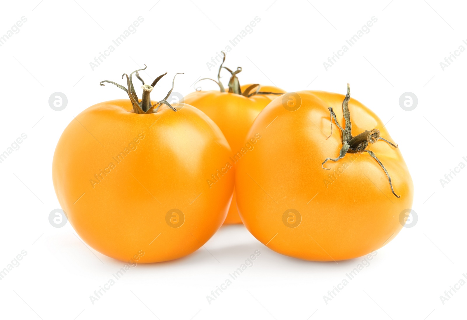 Photo of Fresh ripe yellow tomatoes on white background