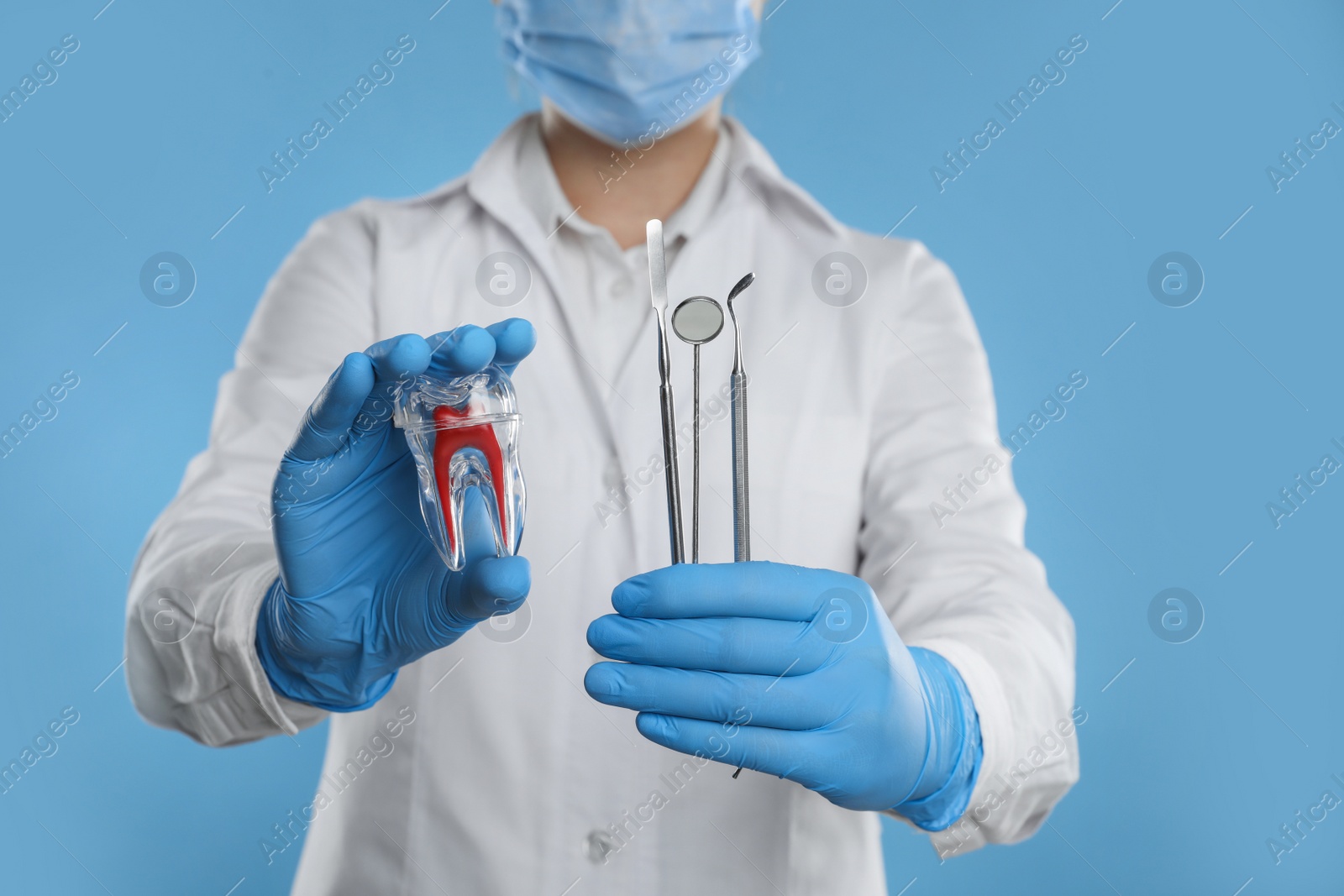 Photo of Dentist holding tooth model and tools on light blue background, closeup