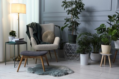 Many potted houseplants near cozy armchair in stylish room