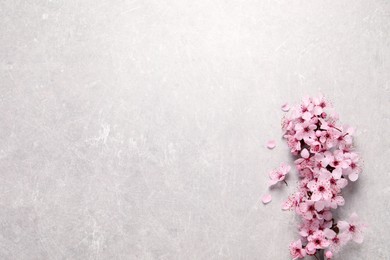 Photo of Sakura tree branch with beautiful pink blossoms on light stone table, flat lay. Space for text