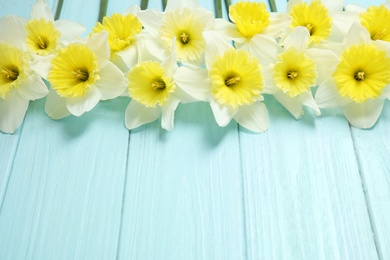 Composition with daffodils and space for text on wooden background. Fresh spring flowers