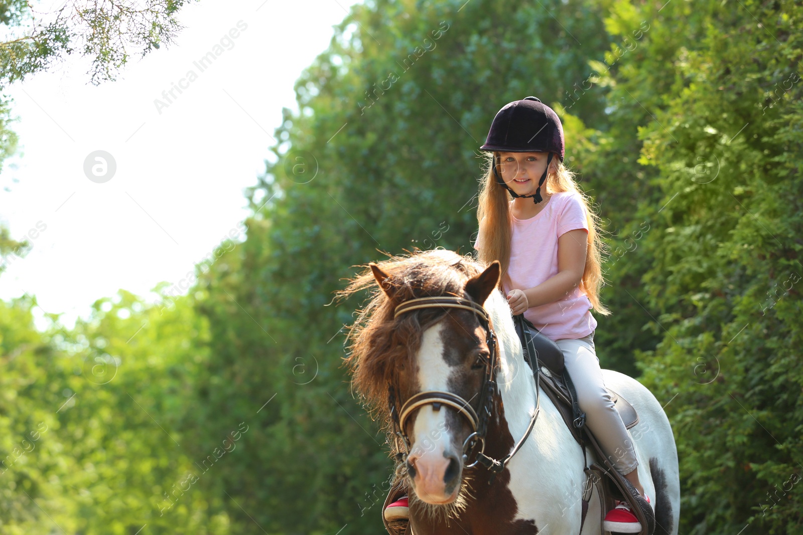 Photo of Cute little girl riding pony in green park