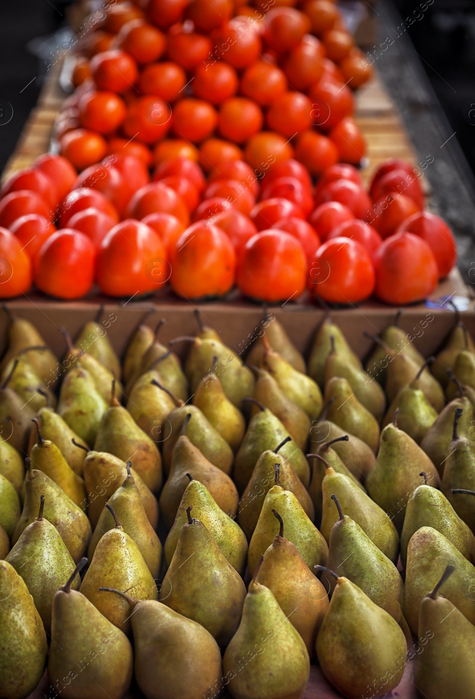 Photo of Tasty fresh fruits on counter at wholesale market