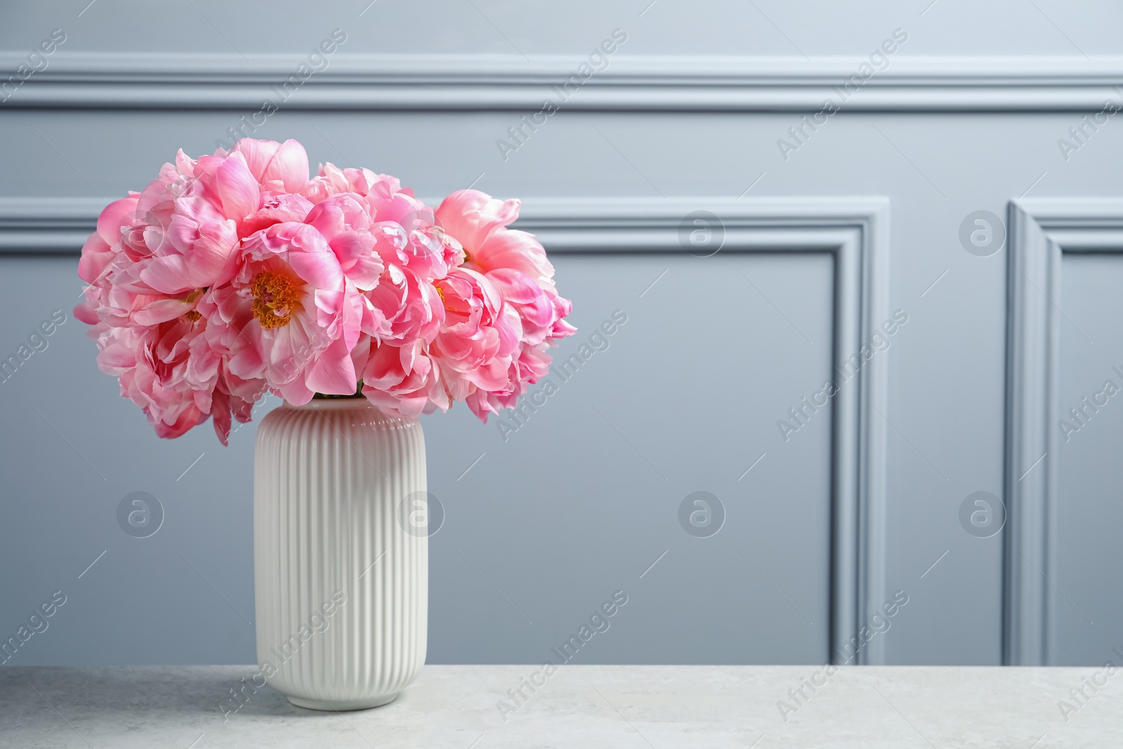 Photo of Beautiful bouquet of pink peonies in vase on table near grey wall. Space for text