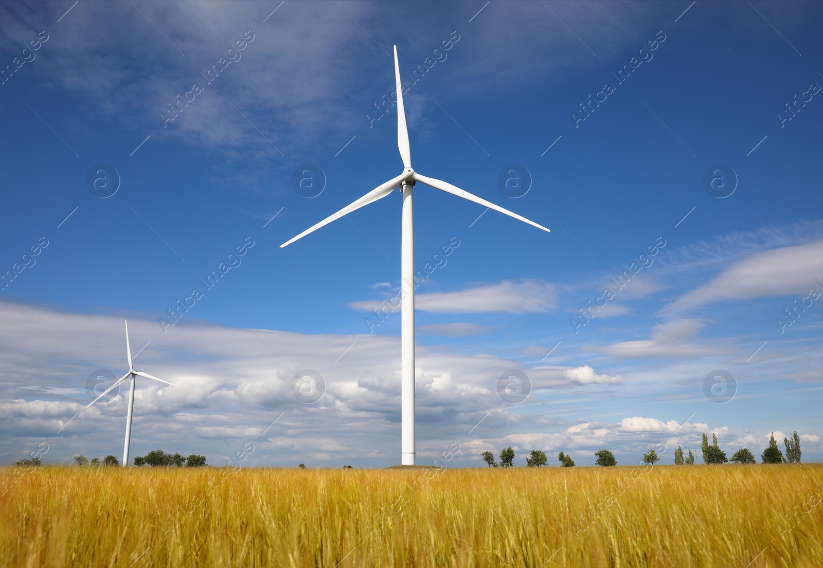 Photo of Beautiful view of field with wind turbines. Alternative energy source