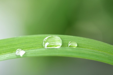 Photo of Water drops on green leaf against blurred background