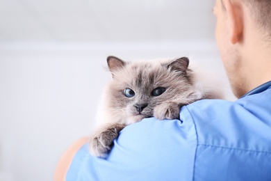 Photo of Young veterinarian holding cat in clinic