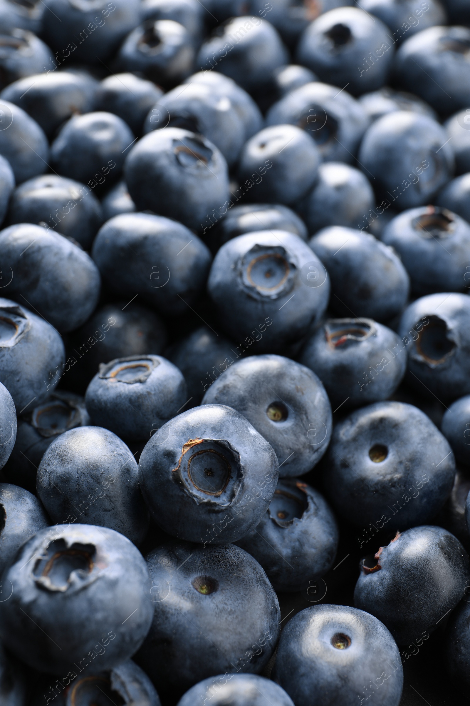 Photo of Many tasty fresh blueberries as background, closeup view