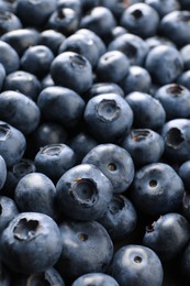 Many tasty fresh blueberries as background, closeup view