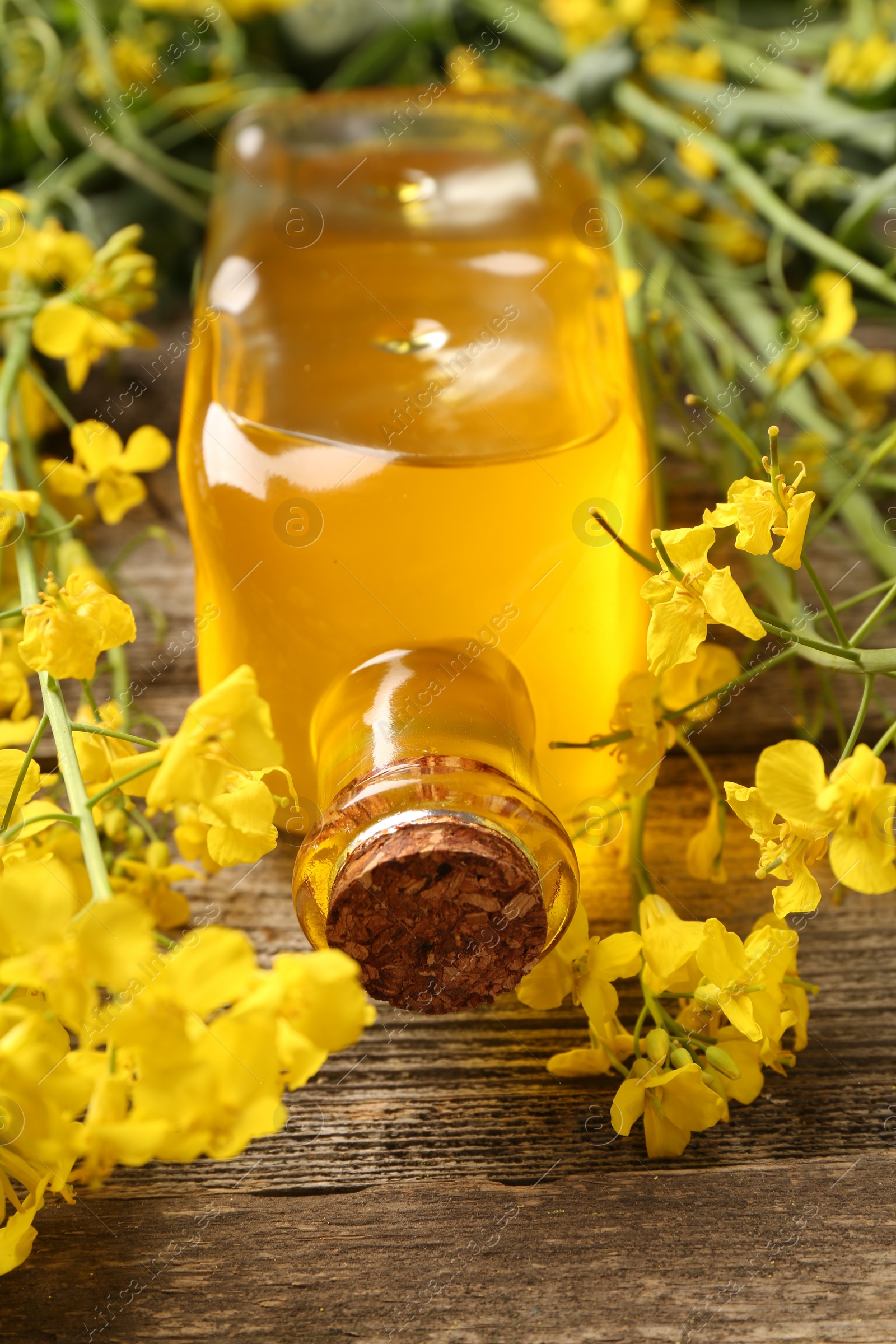 Photo of Rapeseed oil in glass bottle and beautiful yellow flowers on wooden table, closeup