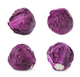 Image of Set of ripe red cabbages isolated on white