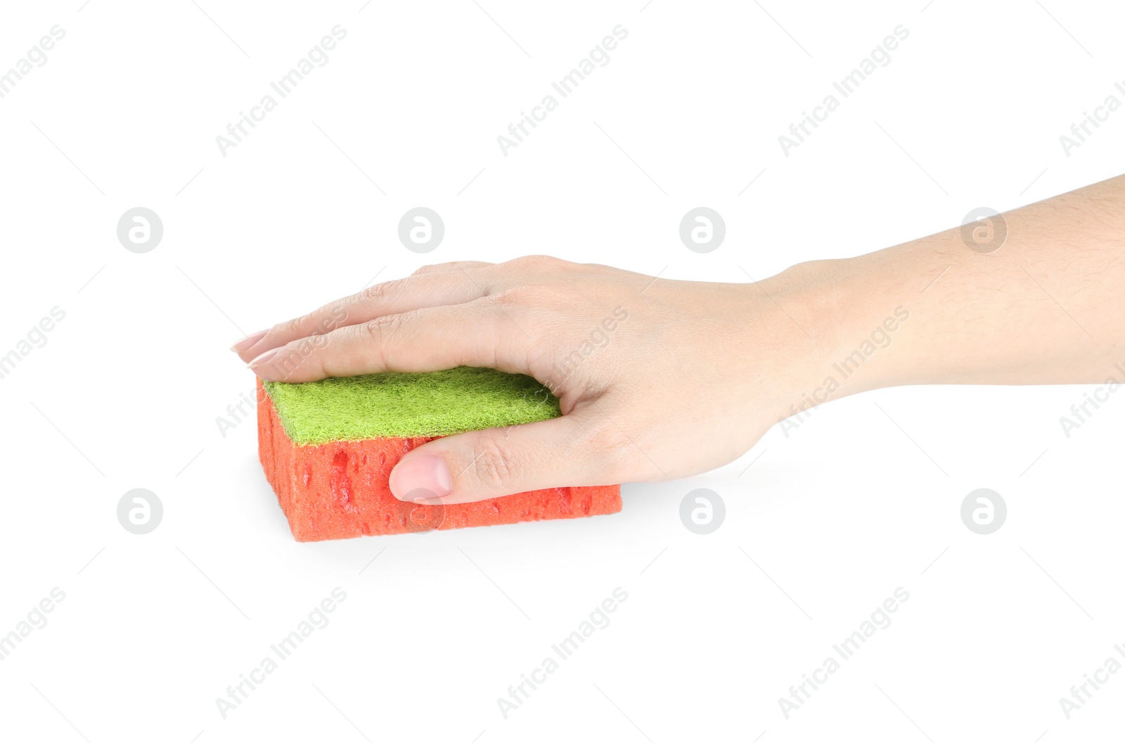 Photo of Woman with sponge on white background, closeup of hand