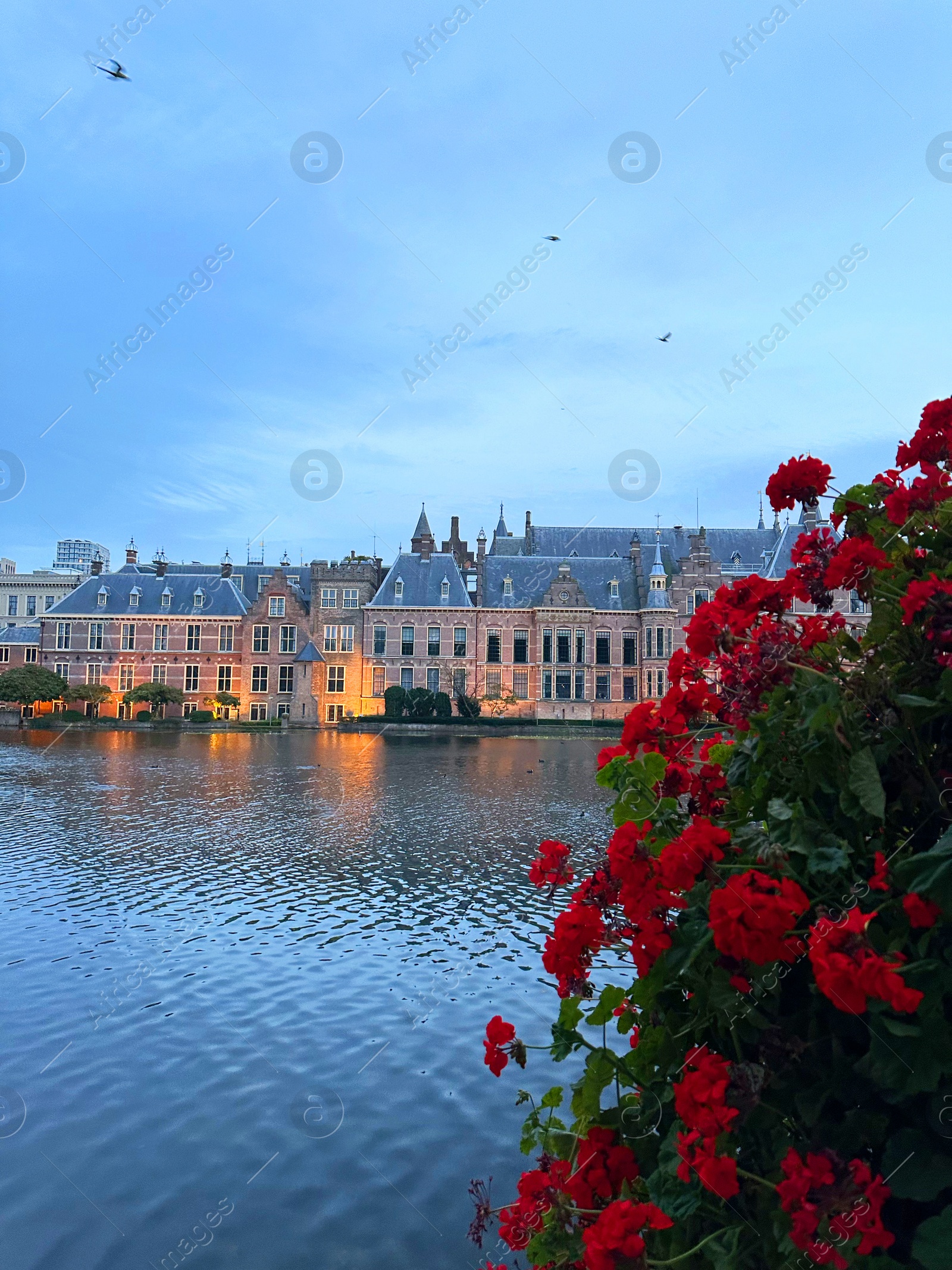 Photo of Beautiful view of red flowers and buildings on riverside in city