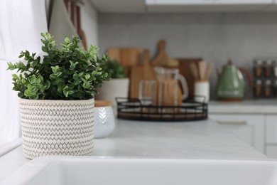 Photo of Beautiful potted artificial plants on countertop in kitchen, space for text. Home decor