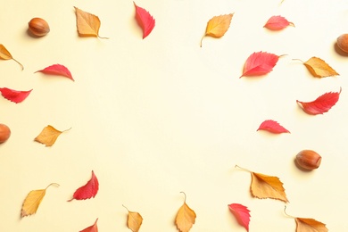 Photo of Flat lay composition with autumn leaves and space for text on color background