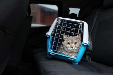 Photo of Travel with pet. Cute cat in carrier inside car