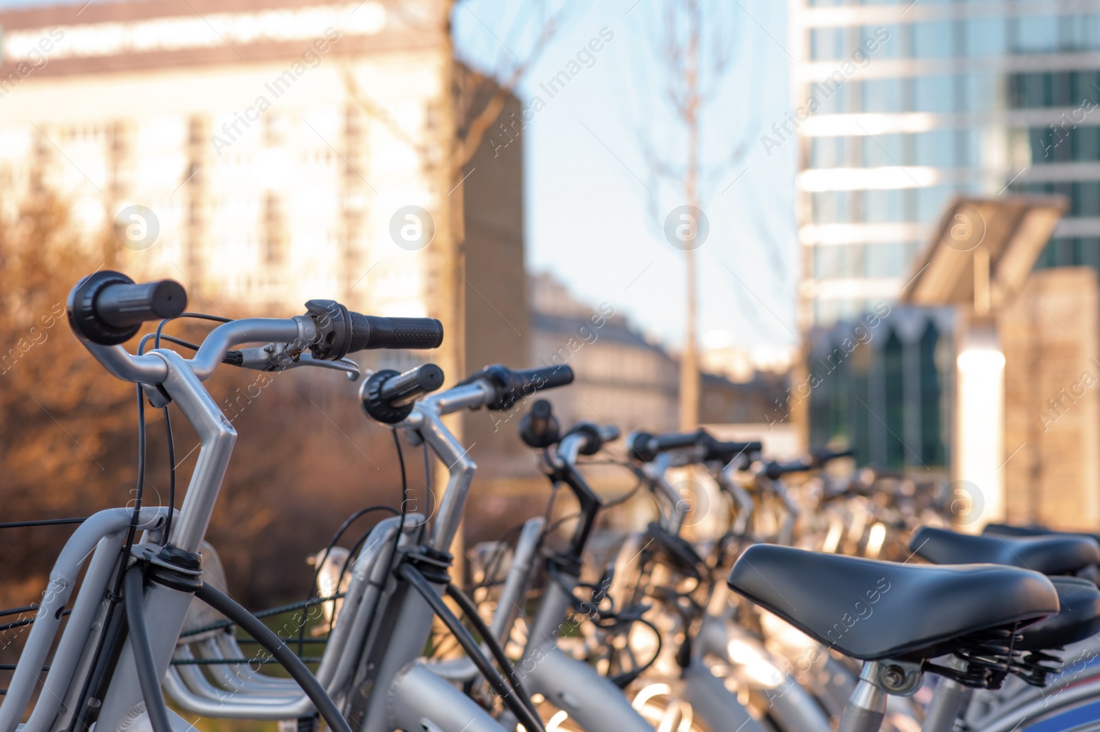 Photo of Parking with bicycles for rent on sunny day