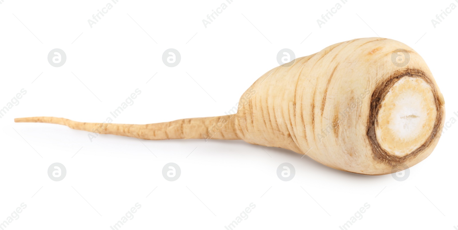 Photo of Tasty fresh ripe parsnip isolated on white