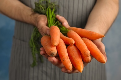 Photo of Young woman holding ripe carrots on color background, closeup