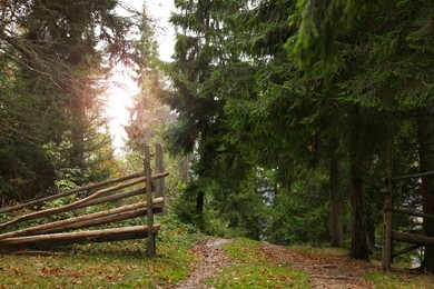 Photo of Old wooden fence near pathway in forest on autumn day