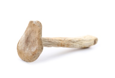 Photo of Dried aromatic chanterelle mushroom isolated on white