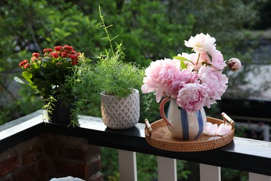 Photo of Balcony garden. Different plants growing on railings outdoors