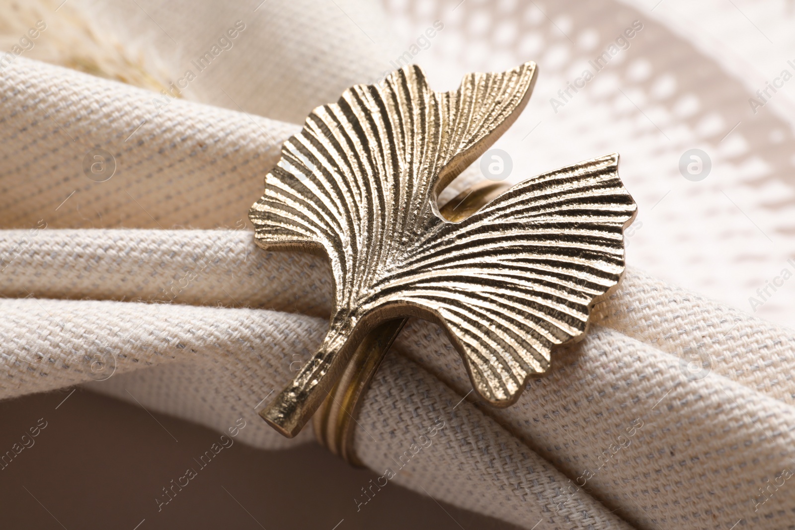 Photo of Fabric napkin and decorative ring on plate, closeup