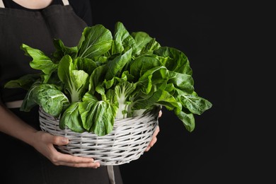 Woman holding wicker bowl with bok choy cabbage on black background, closeup