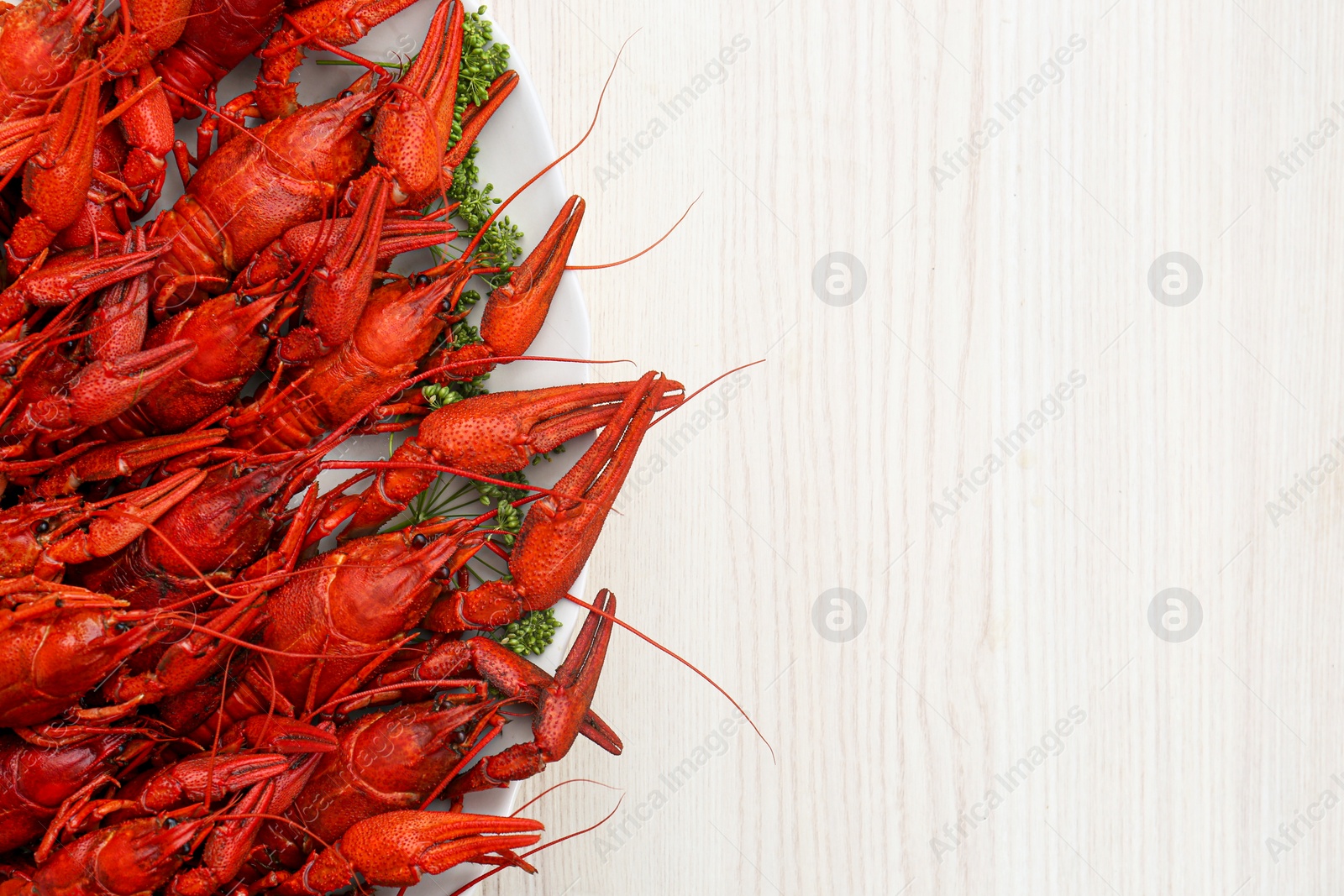Photo of Plate with delicious red boiled crayfish on white wooden table, top view. Space for text
