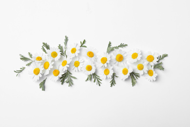 Photo of Flat lay composition with fresh chamomiles on white background