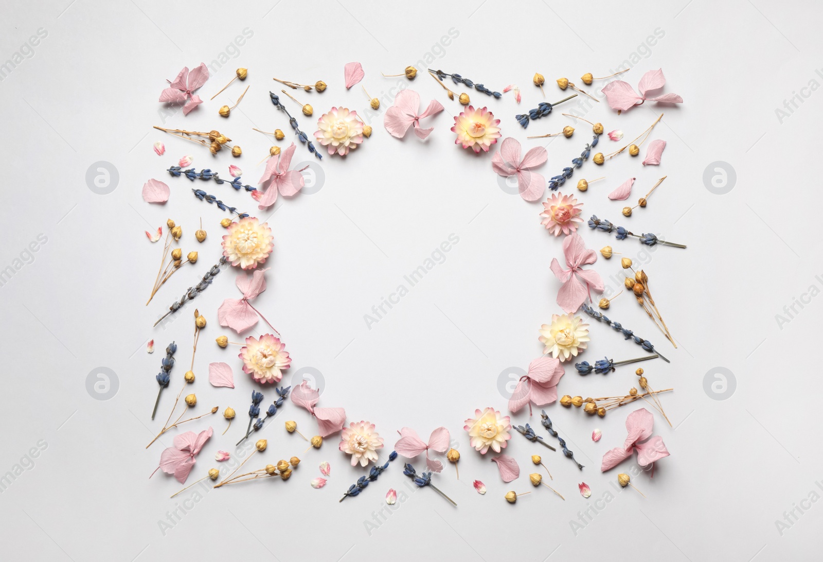 Photo of Frame of beautiful dried flowers on light background, flat lay. Space for text