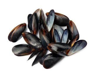 Photo of Open empty mussel shells on white background, top view