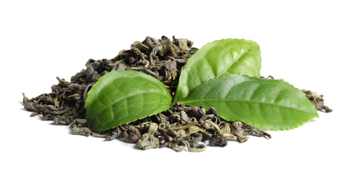 Photo of Dry and fresh tea leaves isolated on white