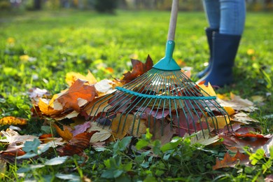 Photo of Woman raking fall leaves in park, closeup