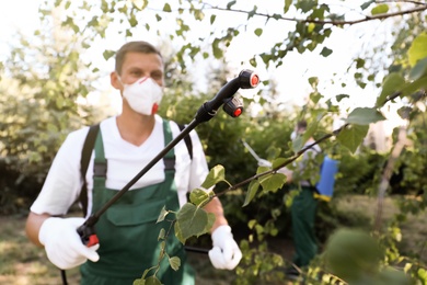 Photo of Workers spraying pesticide onto tree outdoors. Pest control
