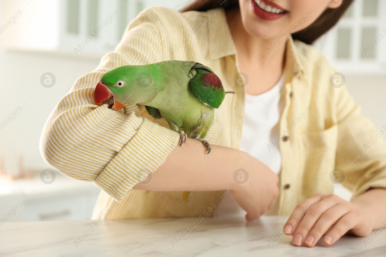 Photo of Young woman with Alexandrine parakeet indoors, closeup. Cute pet