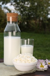 Tasty fresh milk and cottage cheese on wooden table outdoors