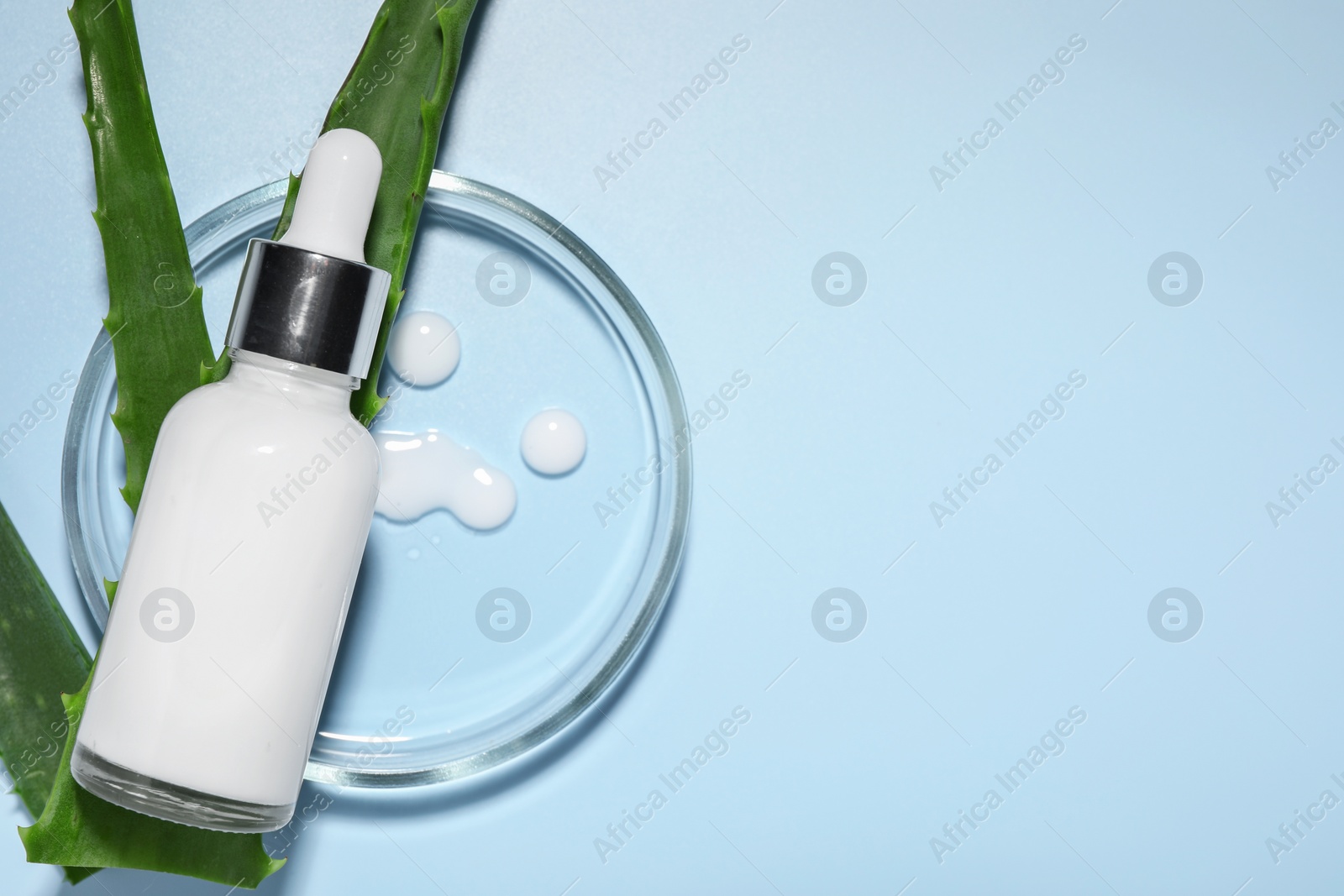 Photo of Petri dish with cosmetic products and aloe vera leaves on light blue background, flat lay. Space for text