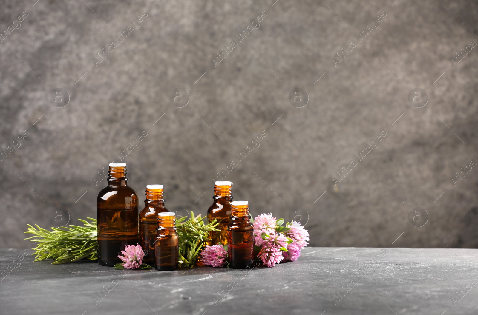 Photo of Bottles with essential oils, clover and rosemary on grey textured table. Space for text