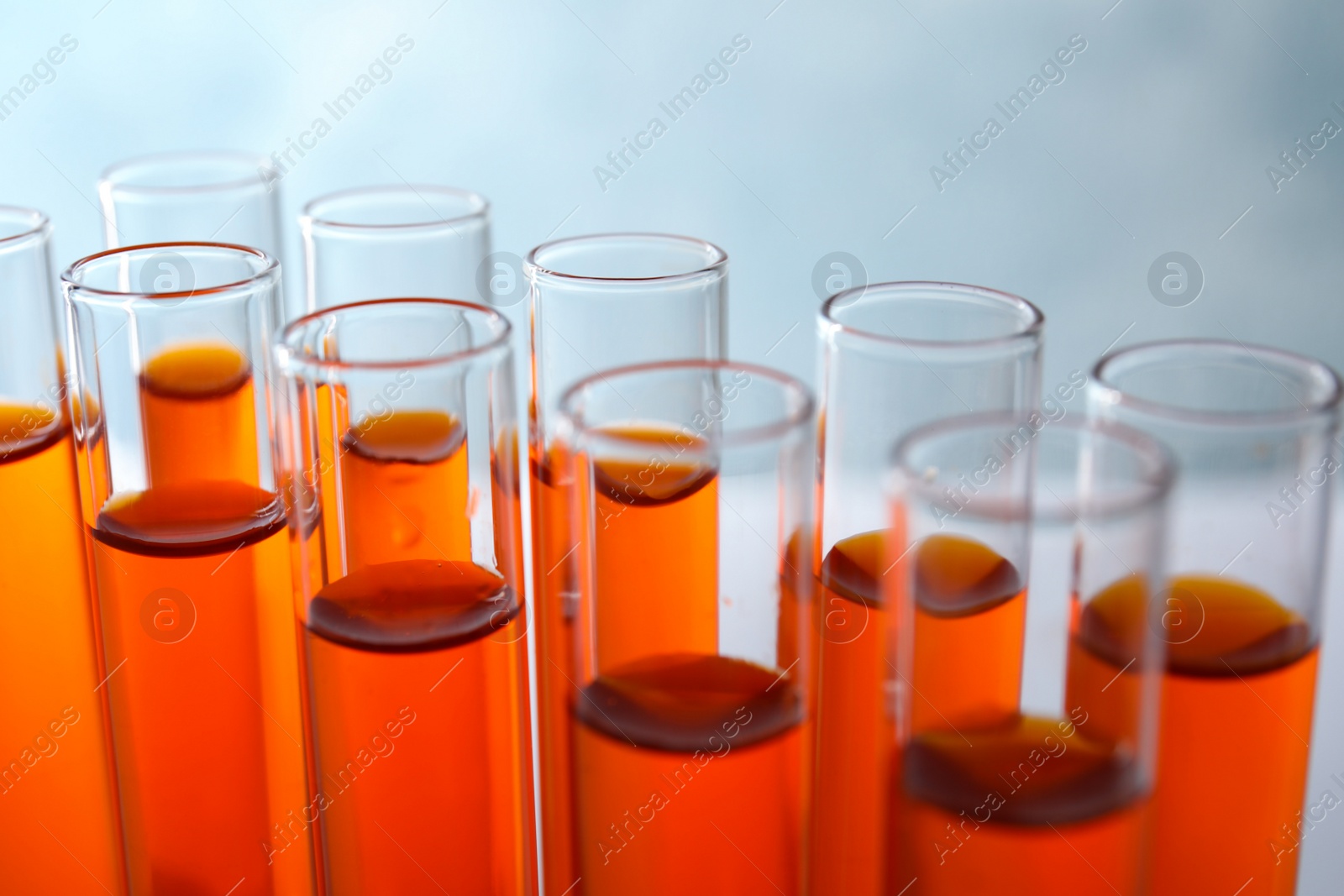 Photo of Many test tubes with orange liquid on light background, closeup