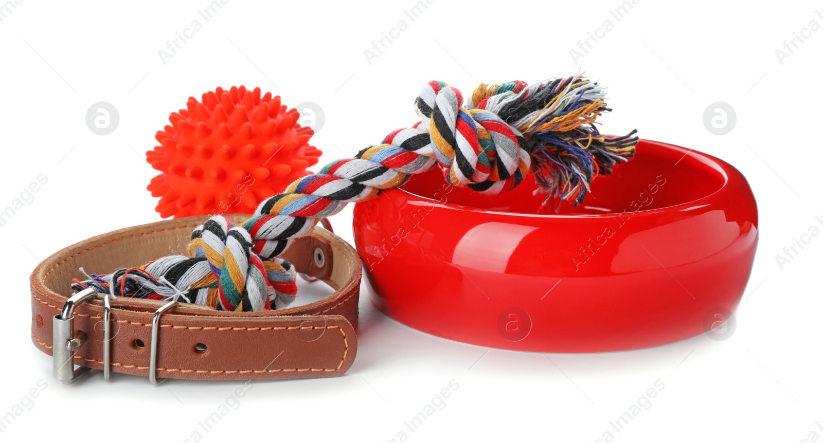 Photo of Accessories for dog on white background. Pet care