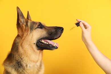 Photo of Woman giving tincture to German Shepherd dog on yellow background, closeup