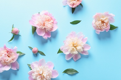 Beautiful fragrant peony flowers on color background