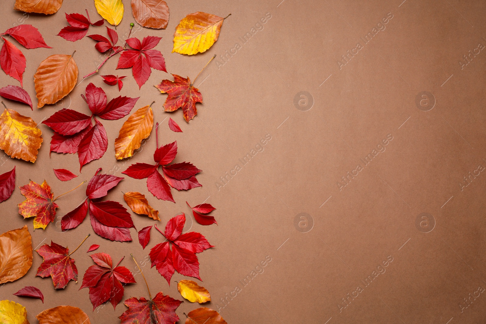 Photo of Beautiful autumn leaves on brown background, flat lay. Space for text